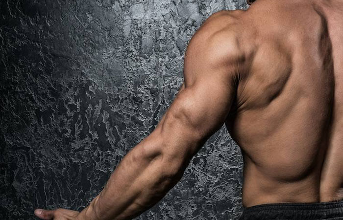 عضله سه سر بازویی