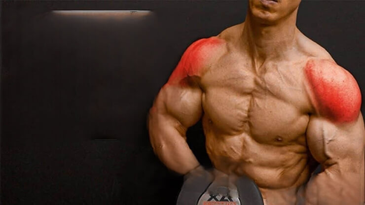 نقش سرشانه در بدنسازی