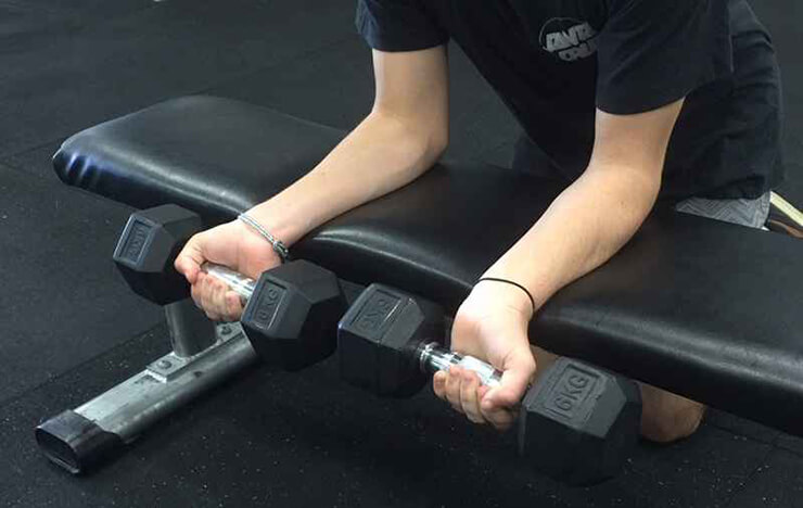 عضلات ساعد چیست؟ معرفی 7 راه کاربردی برای تقویت آن‌ها