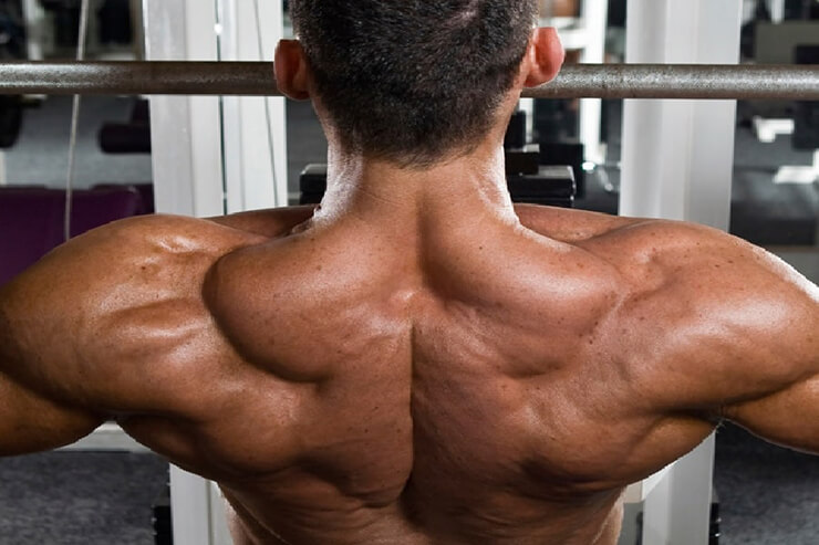 7 نکته مهم درباره عضلات گردن و ضرورت تمرین آن