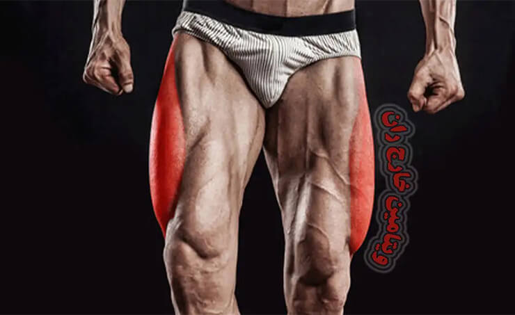 تأثیر عضلات خارج ران بر فرم و زیبایی پا