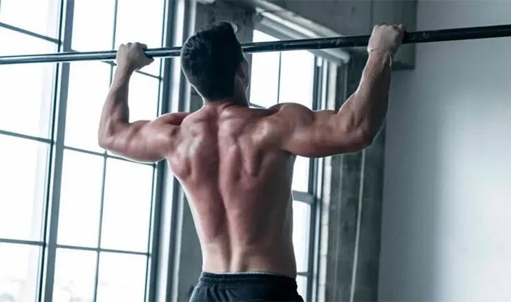 بارفیکس و تاثییر چند برابری ان روی رشد عضلات 